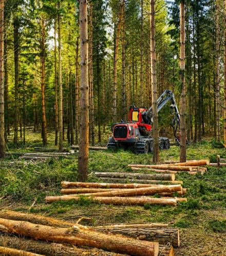 Metsaraie Harvesteriga - Combitrans OÜ